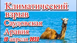 В Саудовской Аравии произошёл климатический взрыв наводнение град изменение климата.