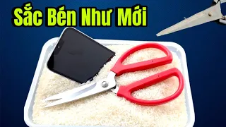 3 Cách Mài Kéo Đơn Giản hiệu quả Siêu bén