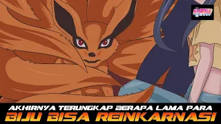 AKHIRNYA TERUNGKAP BERAPA LAMA BIJU BISA TERLAHIR KEMBALI SETELAH MATI