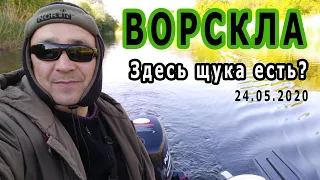 Рыбалка на реке Ворскла | Много ударов щуки | Рыбалка_2020.