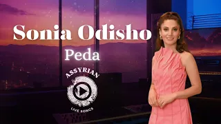 Sonia Odisho - Peda (Assyrian Live Songs) | 2024