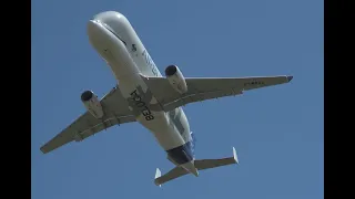 Airbus Beluga XL Low over camp site at RIAT 2022 4K