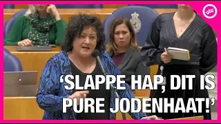 Tweede Kamer (behalve DENK) WOEST over antisemitische pro-Pallie actie tegen Lenny Kuhr