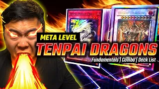 Tenpai Dragon New META Fundamentals - Deck Profile + Combo Lines Deck