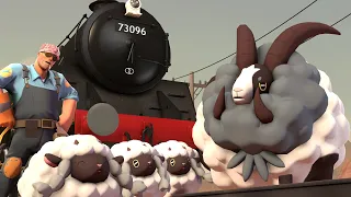 [SFM] Sheep On The Line! - REMASTERED