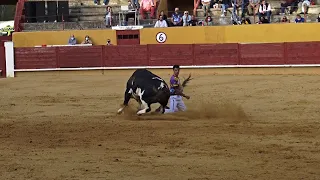 Avila 2021Concurso Nacional de Recortadores, novillos de Monteviejo La Final