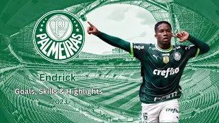 Endrick 2023: The Brazilian Football Sensation Lighting Up Palmeiras | Goals, Skills & Highlights