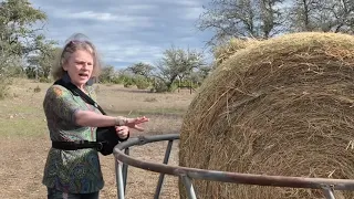 Remove hay netting