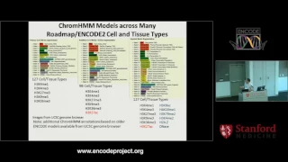 ChromHMM - Jason Ernst