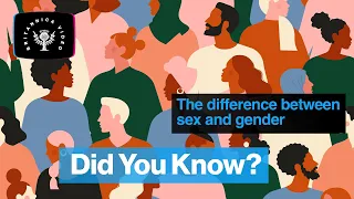 Did You Know: The difference between sex and gender | Encyclopaedia Britannica