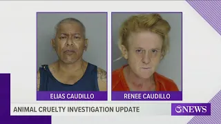 Two people arrested, charged with animal cruelty  after trailer found in parking lot with 14 dogs