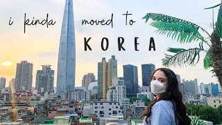 🤡 i quit my big girl job to learn korean 🇰🇷 (no, seriously)