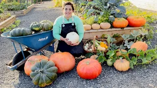 The Most Rewarding Harvest Yet!