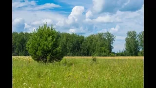 Палаточный православный лагерь "Вифлеемская звезда"