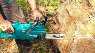 Перепилит ли огромный пень? | Цепные пилы, высоторезы MAKITA LXT и XGT