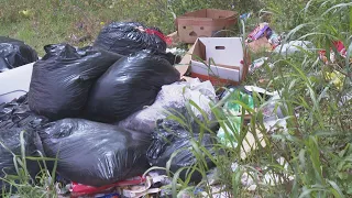 Alexandria residents asked to team up & clean up trash-dumping hot spots