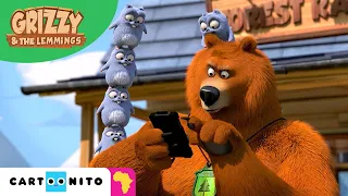 Crazy Boxes | Grizzy & The Lemmings | Funny Compilation for Kids | Cartoonito Africa