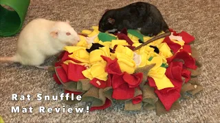 Reviewing A Rat Snuffle Mat by Sorrentini Snuffles!