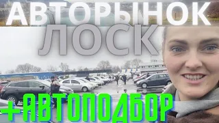 🔥Авторынок Харькова Сб👉 Вс  🎀 Автоподбор  #Львов➡️ #Харьков