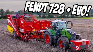 414: Grimme #RowShow bei Röpers! 😍 | Fendt One 728 mit Evo 280 zeigen was geht! 💪