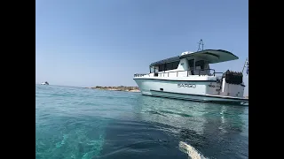 SARGO 36 in Saronic Gulf, Greece