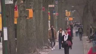 Bike rider sought in Central Park crime spree: NYPD