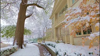 After SNOWFALL Winter Vibes in Beautiful Neighborhood of Toronto Homes and Classic Relaxing Music