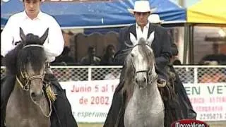 Video promocional del paso fino colombiano