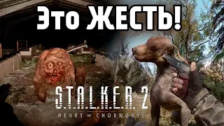 Глубокая аналитика нового геймплейного трейлера STALKER 2