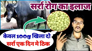 🔴सर्रा को एक दिन मे ठिक करेगी ये दवा/सर्रा रोग का इलाज/Surra treatment in cattle/सर्रा का देशी इलाज