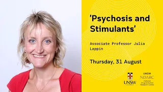 NDARC Webinar, 'Psychosis and Stimulants' presented by Associate Professor Julia Lappin.