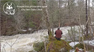 Prospection printanière signé - Chu Ben Dans L'Bois