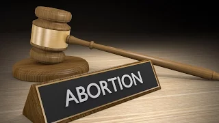 Abortion and the Constitution: What You Need to Know