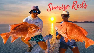 We Found The Red Emperor Honey Hole Fishing the Great Barrier Reef (Catch & Release)