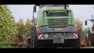 Mais hakselen 2021 | Harvesting maize | Fendt Katana 650 + Kemper 460 plus | Fendt 2X 720 516 828