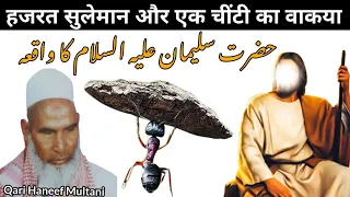 Kari Hanif Multani चींटी ने ऐसा क्या मांगा हजरत सुलेमान अली सलाम ने देने से मना कर दिया /Kari Hanif