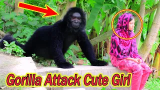 Update Viral Gorilla Attack Prank On Cute Girls | Part 41 By Discover Prank