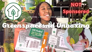 My First Time Importing Plants | Greenspaces.id Unboxing 2022 | Philodendron Hybrids + More!