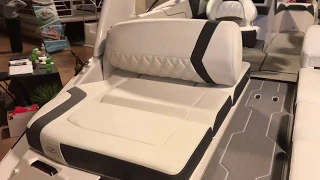 2019 Regal 2300 Classic Med Blue Stripe & Power Tower!