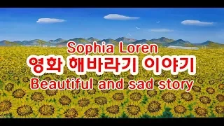 소피아 로렌의 해바라기 영화이야기 Sophia Loren Sunflower