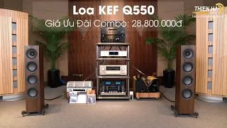 [Khuyến Mại Đặc Biệt] Combo Loa KEF Q550 + Ampli Pioneer A-40AE Hoặc Yamaha R-N402 Giá 28tr880 đ