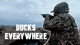 North Dakota Duck Hunting | Devils Lake, ND