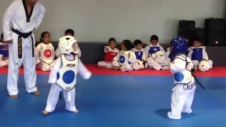 EPIC Taekwondo battle 3 year old kids!! SO CUTE!