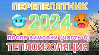 Перепелятник после зимовки (часть 6: теплоизоляция) #перепела #перепелки #теплоизоляция #лайфхак