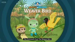 Octonauts & The Weaver Birds ABOVE & BEYOND Season 3 ENGLISH Full Episode 17 - BUD, TWEAK