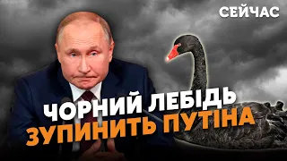 💥ЧЕРНИК: Війна ЗАКІНЧИТЬСЯ смертю ПУТІНА. Буде ЧОРНИЙ ЛЕБІДЬ. В Росії почнеться ХАОС