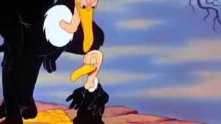 Looney Tunes- no no nope beaky buzzard