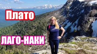 Плато Лаго-Наки летний отдых в горах.Что посмотреть недалеко от Краснодара.Ледники и Альпийские луга