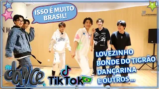 GRUPO CHINÊS DANÇA COREOGRAFIAS BRASILEIRAS (COM BOY STORY)