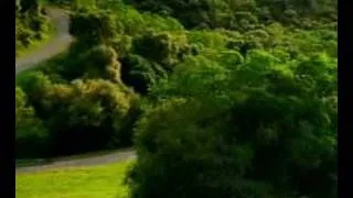 Car driving winding road